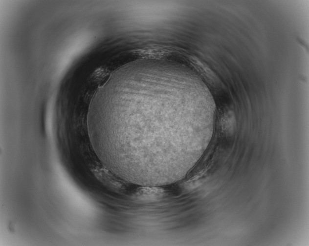 X0000096680429200802191356