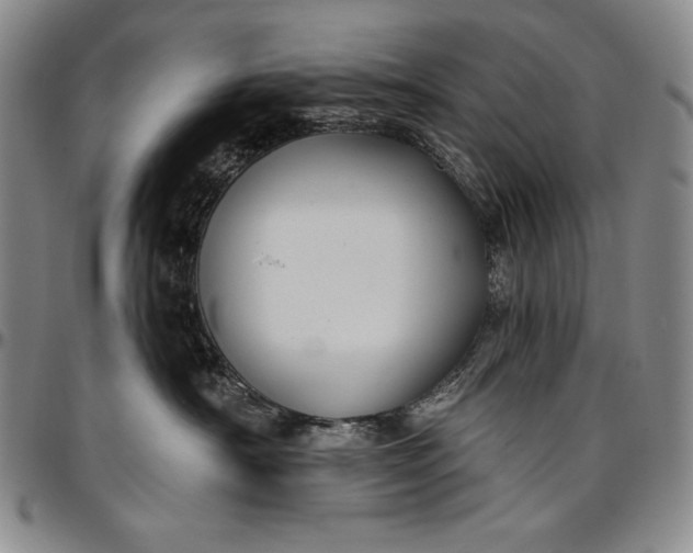 X0000096680430200802191356