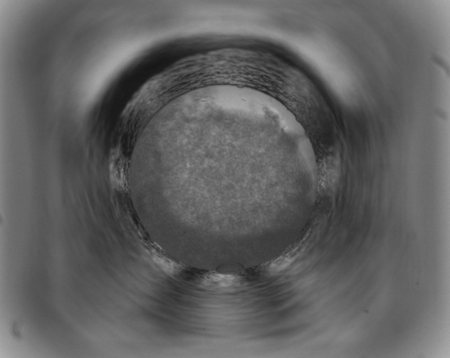 X0000096680431200802191356
