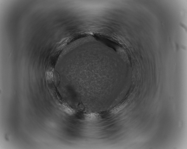 X0000096680432200802191356