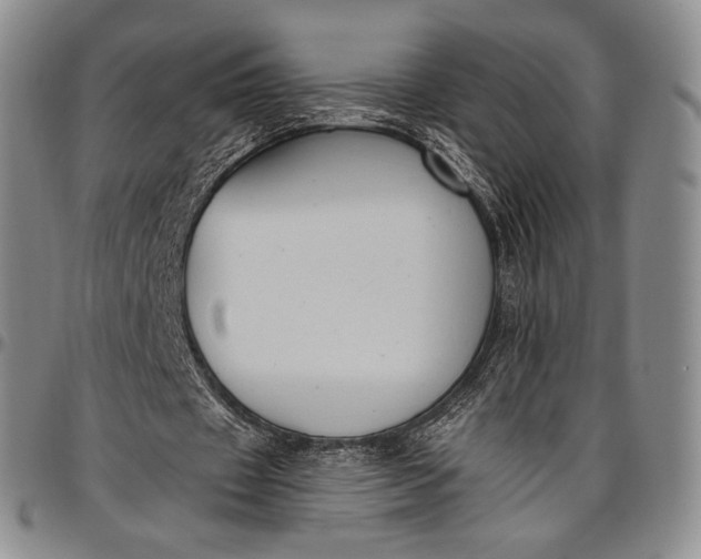 X0000096680433200802191356