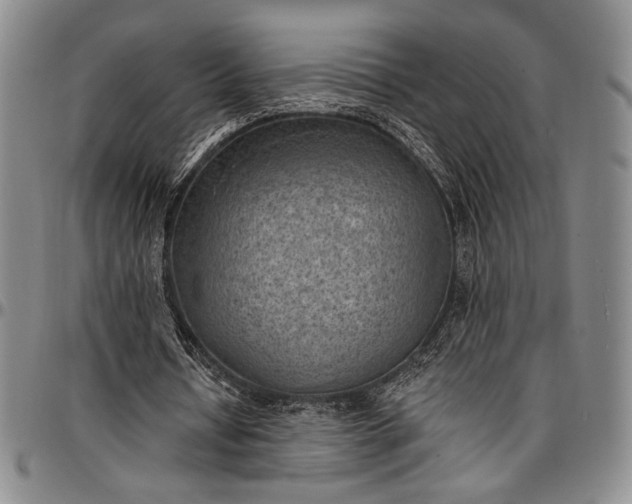 X0000096680434200802191356
