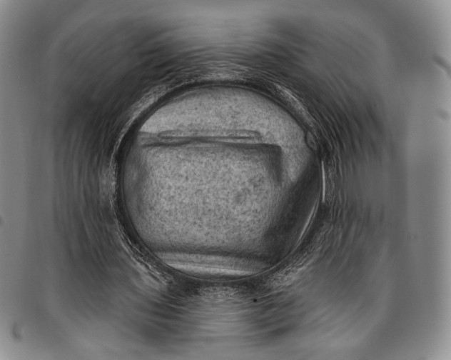 X0000096680435200802191356