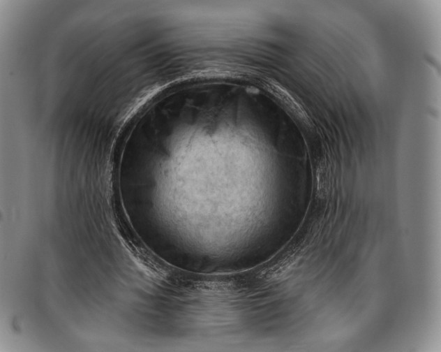X0000096680436200802191356
