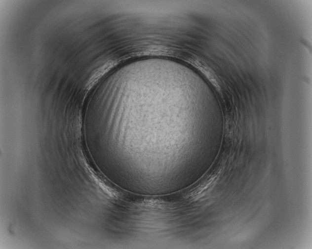 X0000096680437200802191356