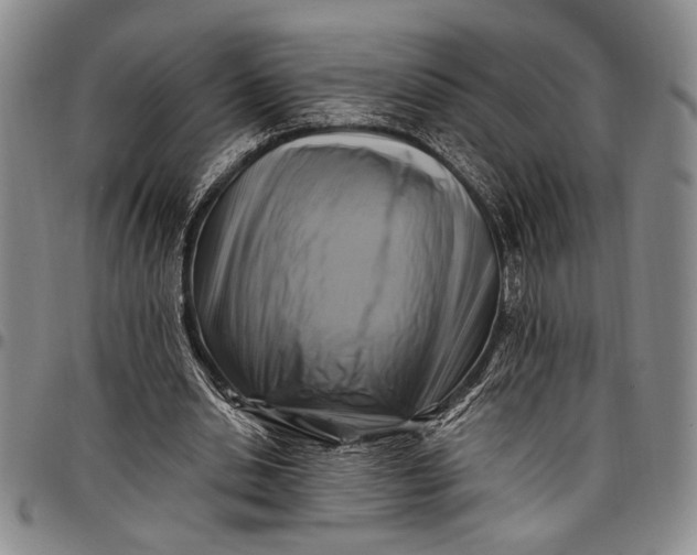 X0000096680438200802191356