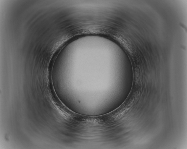 X0000096680439200802191356