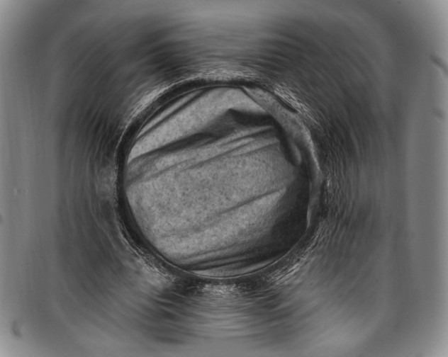 X0000096680440200802191356