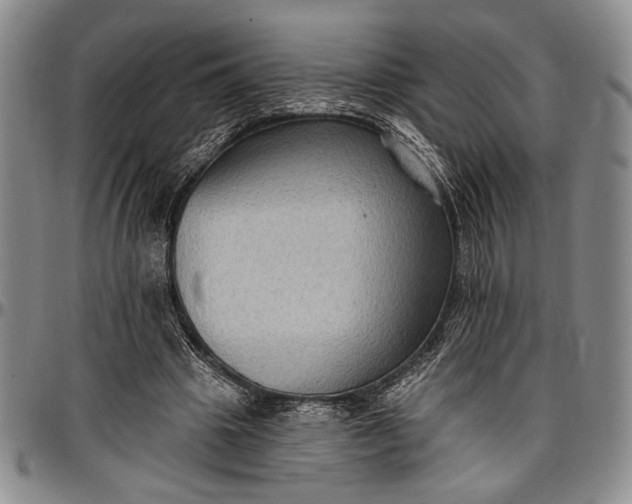X0000096680441200802191356