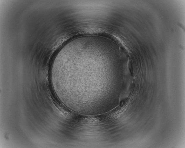 X0000096680443200802191356