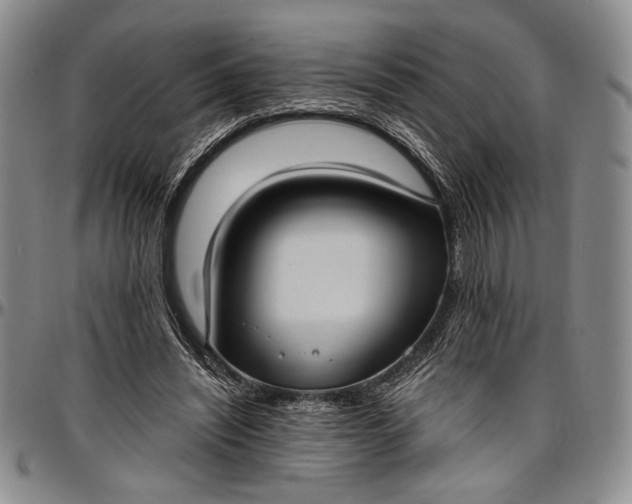 X0000096680444200802191356