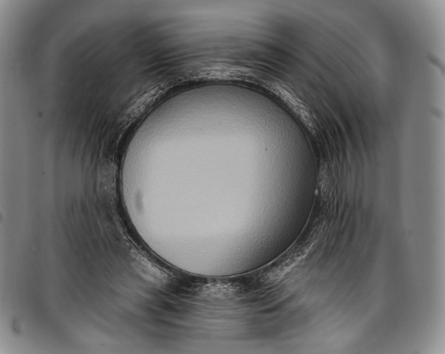X0000096680445200802191356