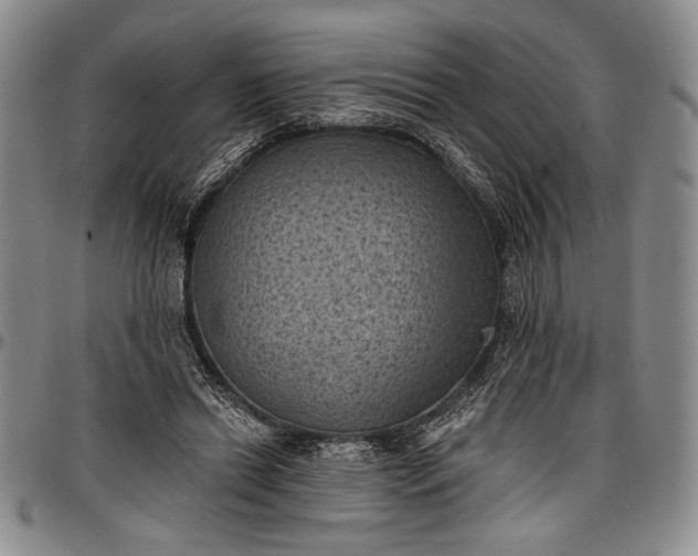 X0000096680446200802191356