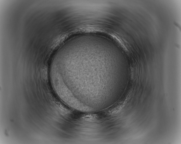 X0000096680447200802191356