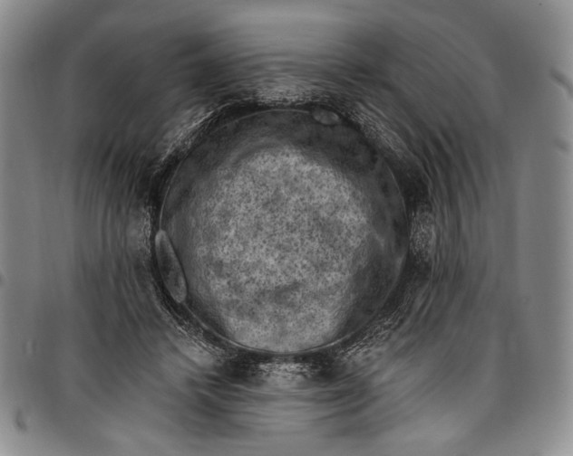 X0000096680448200802191356