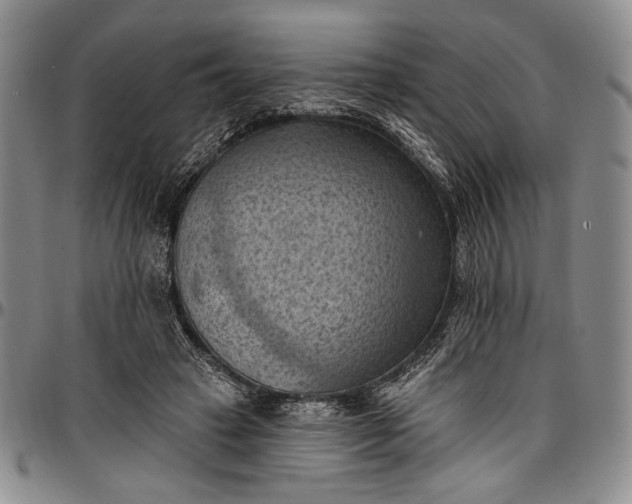 X0000096680449200802191356