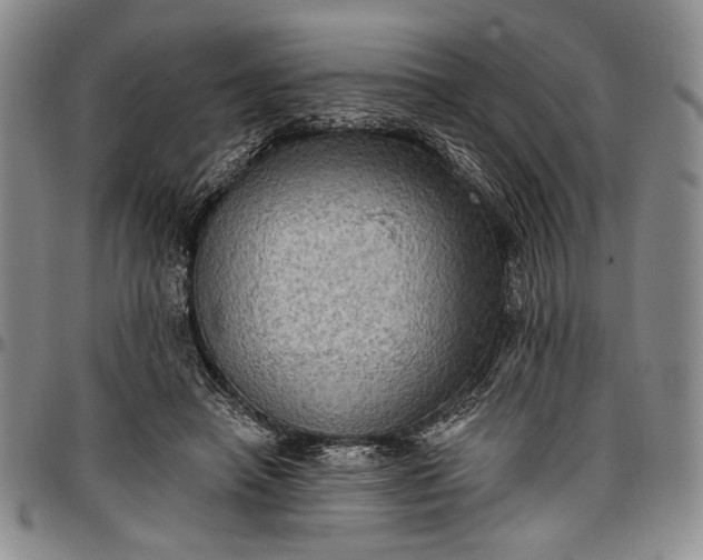X0000096680450200802191356