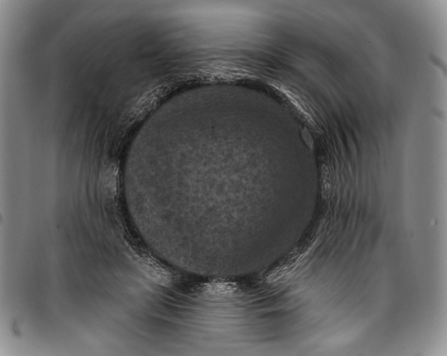 X0000096680451200802191356