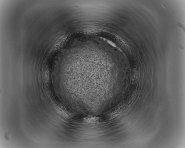 X0000096680452200802191356