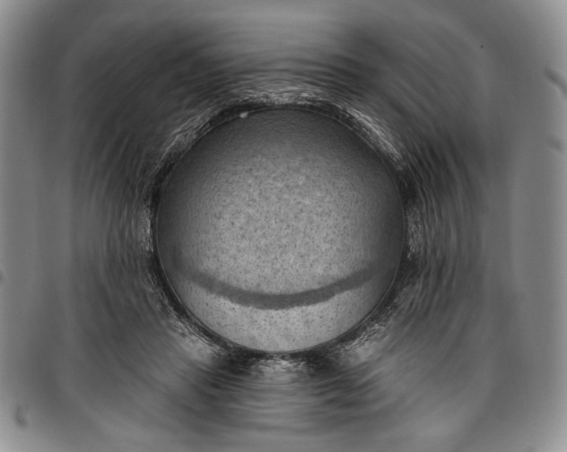 X0000096680453200802191356