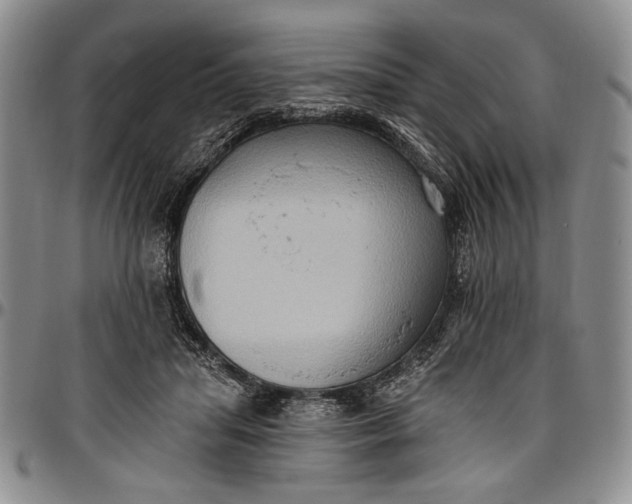 X0000096680455200802191356