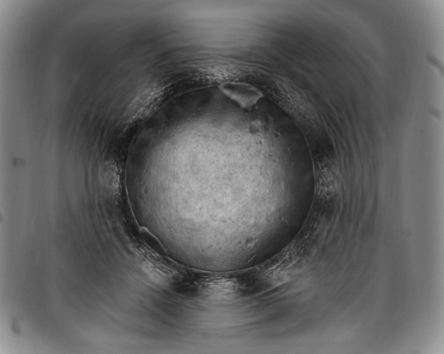 X0000096680456200802191356