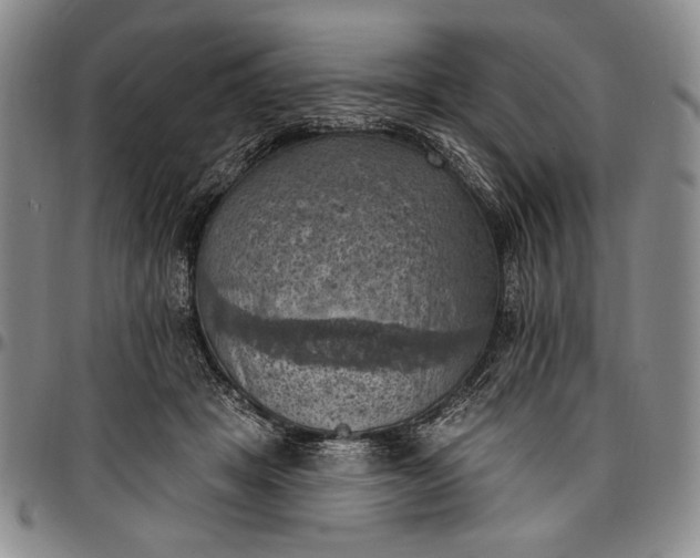 X0000096680457200802191356