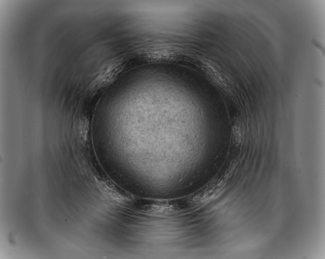 X0000096680458200802191356