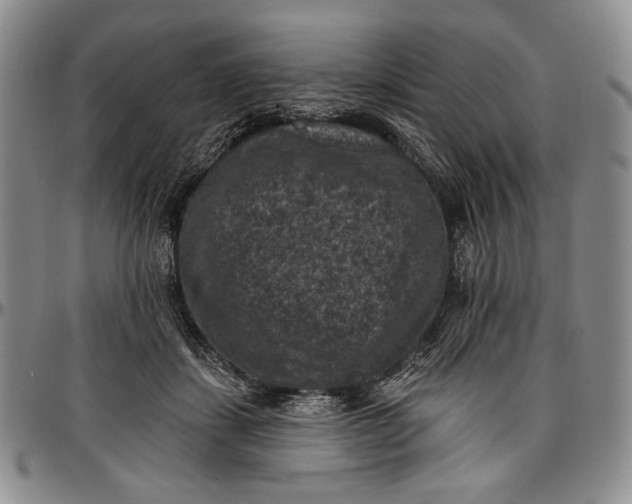 X0000096680459200802191356
