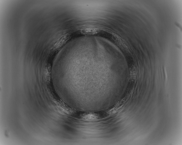 X0000096680460200802191356