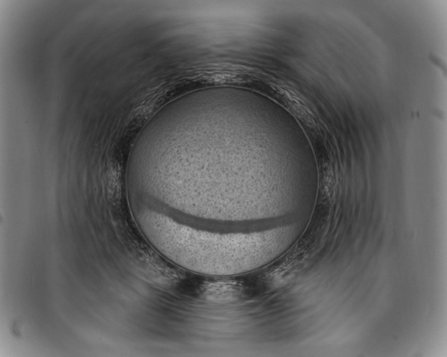 X0000096680461200802191356