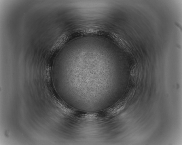 X0000096680462200802191356