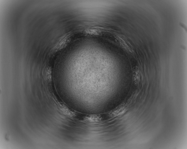 X0000096680466200802191356