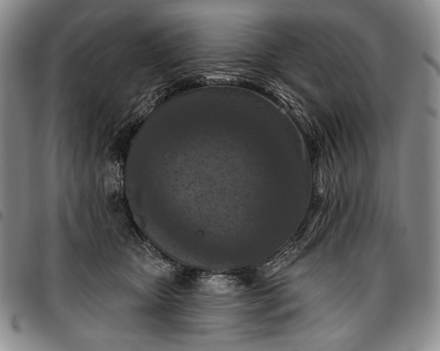 X0000096680467200802191356