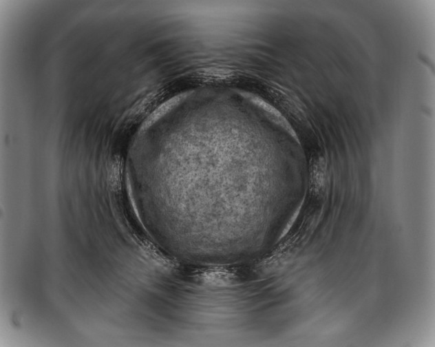 X0000096680468200802191356