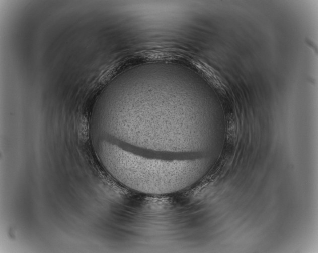 X0000096680469200802191356