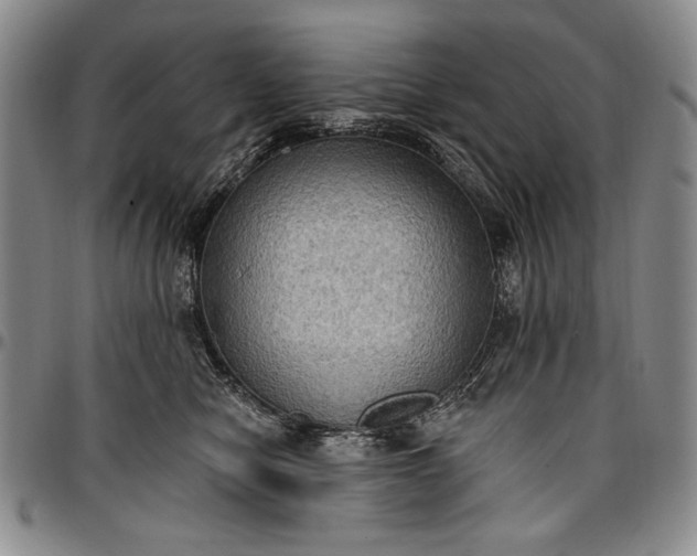X0000096680470200802191356
