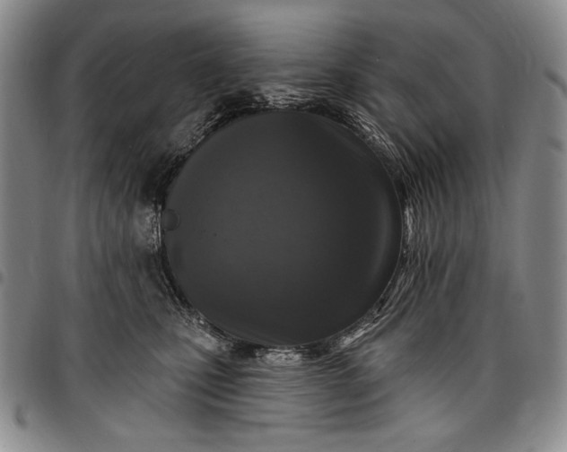X0000096680471200802191356