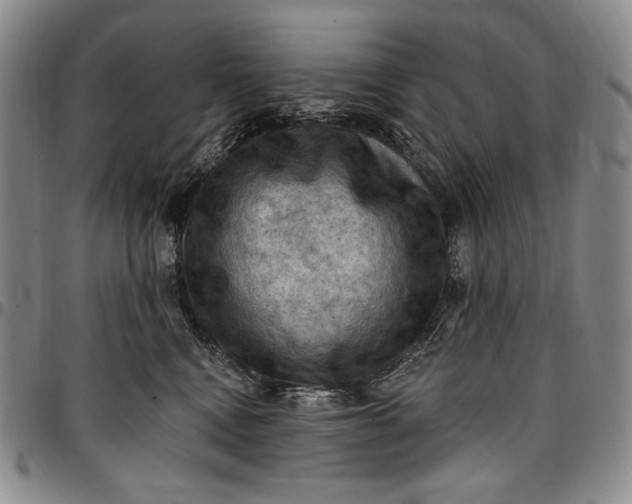 X0000096680472200802191356