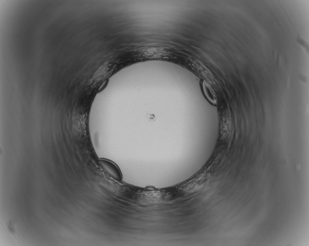 X0000096680473200802191356