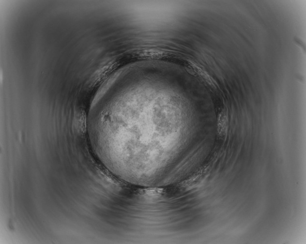 X0000096680474200802191356