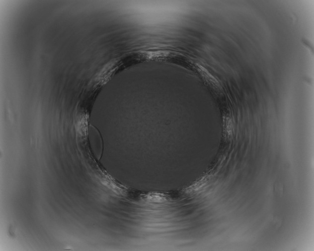 X0000096680475200802191356