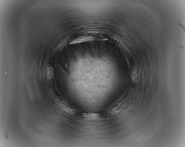 X0000096680476200802191356