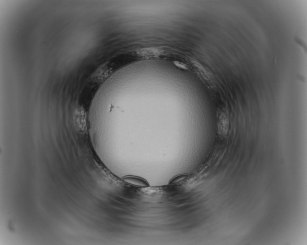 X0000096680477200802191356