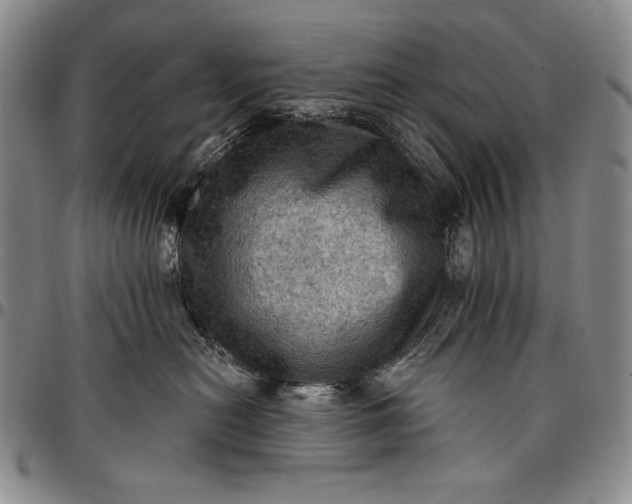 X0000096680478200802191356