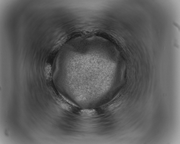 X0000096680480200802191356