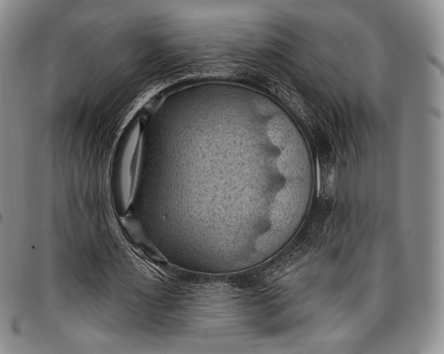 X0000096680483200802191356