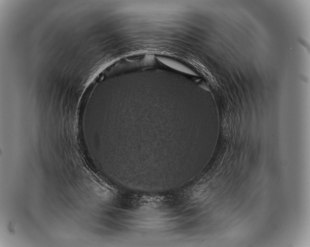 X0000096680484200802191356