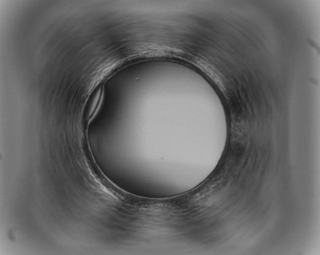 X0000096680485200802191356