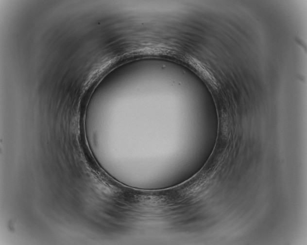 X0000096680486200802191356